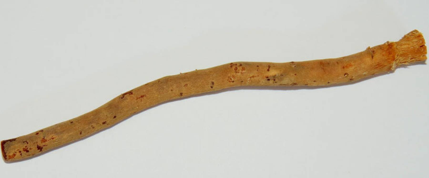 Miswak štapić za žvakanje može zamijeniti četkicu za zube?